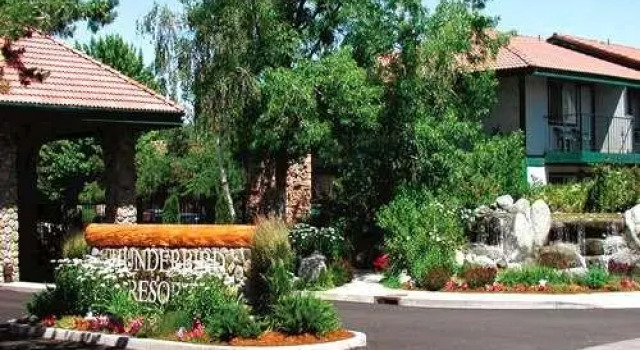 Номер Standard Thunderbird Resort Club