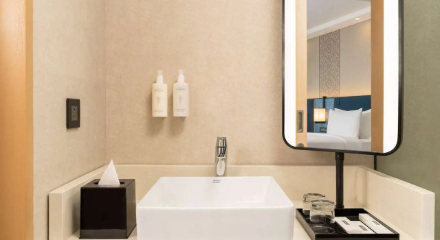 Номер Standard Aurika, Mumbai International Airport - Luxury by Lemon Tree Hotels