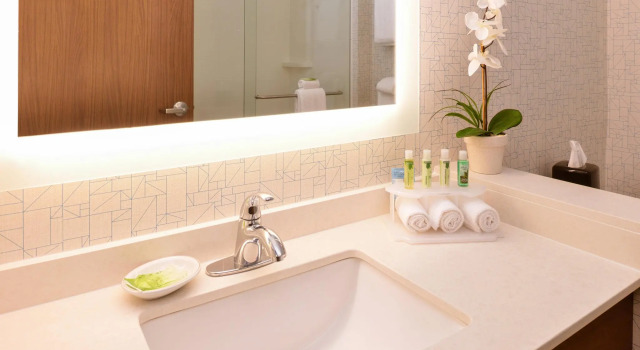 Двухместный люкс Holiday Inn Express & Suites Salem by IHG