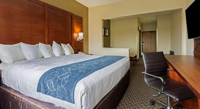 Люкс Comfort Suites University