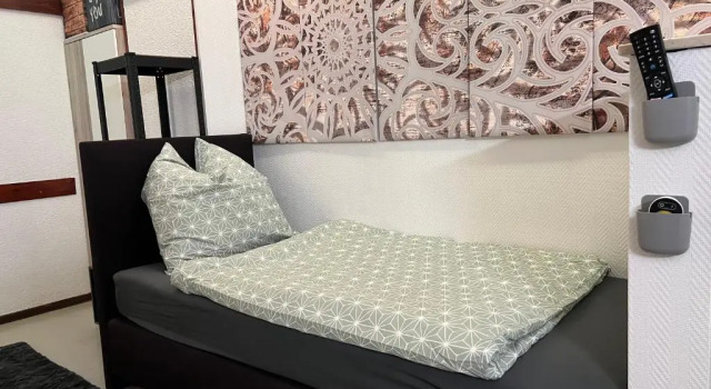Номер Standard Punjab Palace Refugium