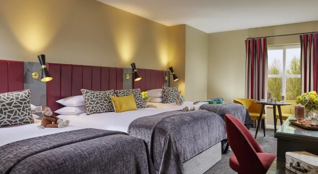 Трёхместный номер Standard Shannon Springs Hotel