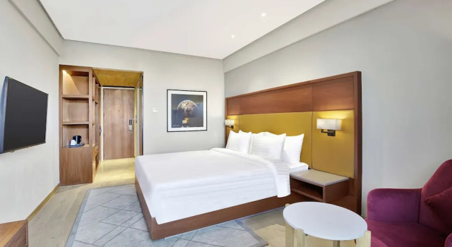 Номер Deluxe с балконом Radisson Hotel Nathdwara