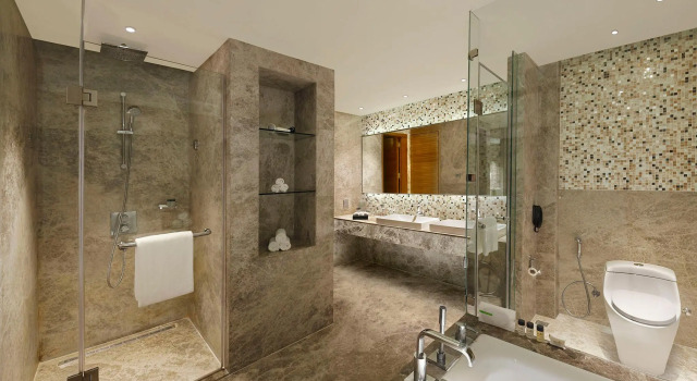 Двухместный люкс Holiday Inn Jaipur City Centre by IHG