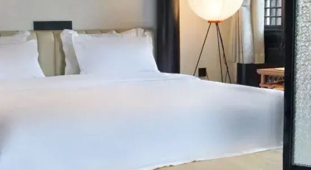 Люкс Zhouzhuang Mailun Academy Homestay