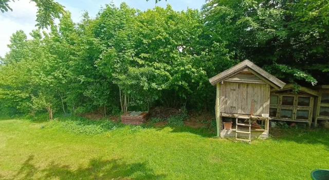 Апартаменты Balcony Views & Forest Calm