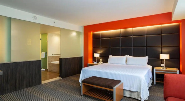 Люкс c 1 комнатой Holiday Inn Mexico City-Plaza Universidad by IHG