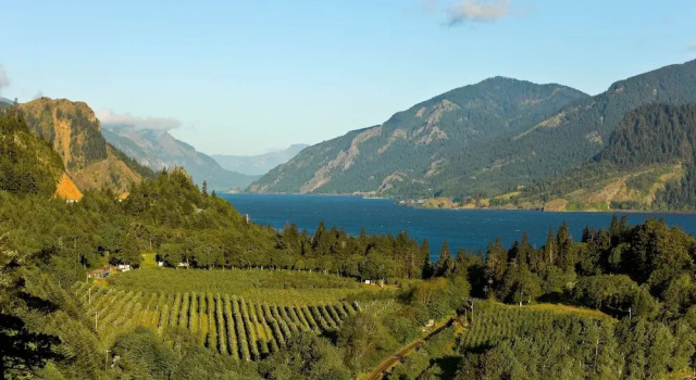 Under Canvas Columbia River Gorge, Забронировать Дом для отпуска Уайт Салмон Columbia River Gorge