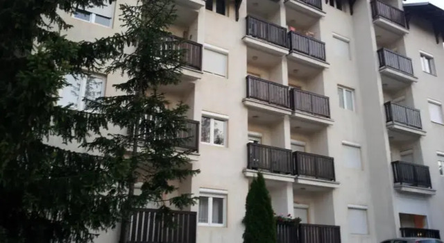 Apartment Simic