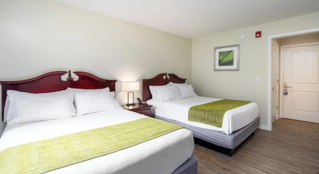 Номер Economy Grey Bonnet Inn