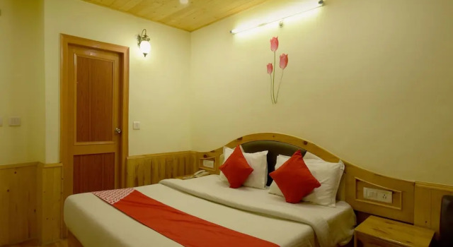 Люкс OYO 17358 D K Residency