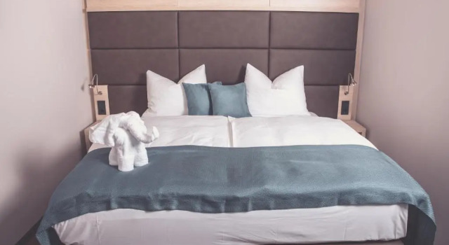 Двухместный номер Comfort Klima Hotel Europarc