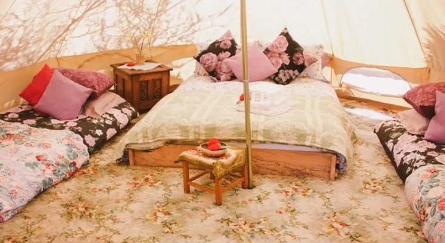 Treyhill House Bed & Breakfast, Glamping and Holiday Cottage, Reserva ahora Camping Camping y glamping en Devon, Camping