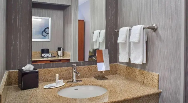 Четырёхместный номер Standard с балконом Comfort Inn & Suites Eden Prairie - Minneapolis Southwest