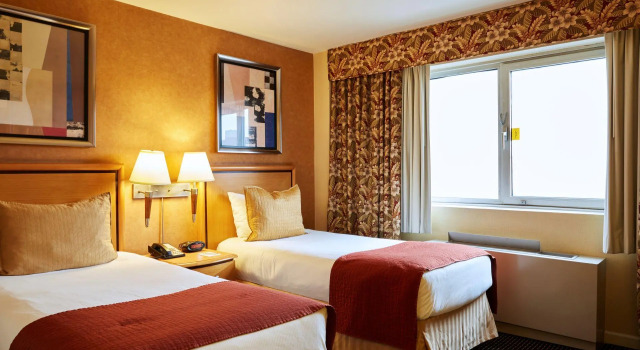 Двухместный номер Standard The Skyline Hotel