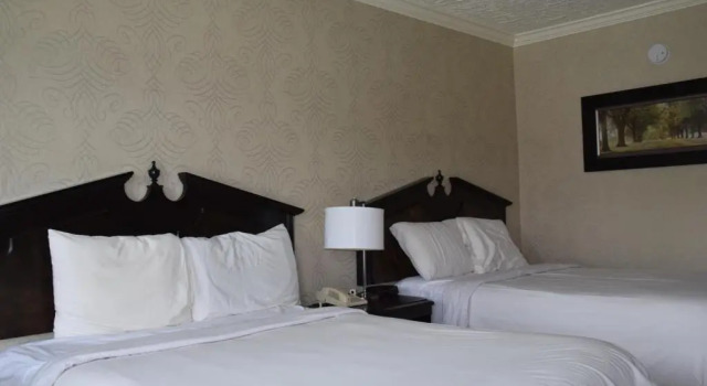 Номер Economy Festival Courtyard Inn