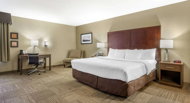 Двухместный номер Standard Comfort Inn & Suites Sea-Tac Airport