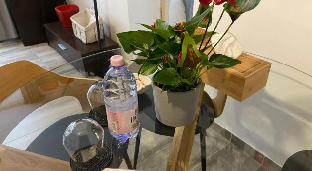 Студия Citadella House Targu Mures