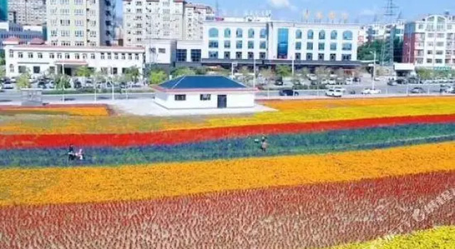 Xin'Gang Hotel, Reservar Hotel Hotéis e alojamentos em Lindong, Hotel