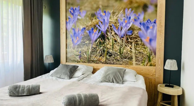 Willa Leśna, Book Hotel Hotels in Tatras with Parking, Parking