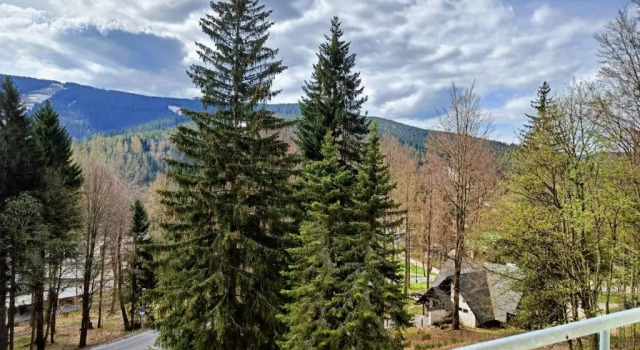 Двухместный номер Standard с балконом Horský hotel Montana
