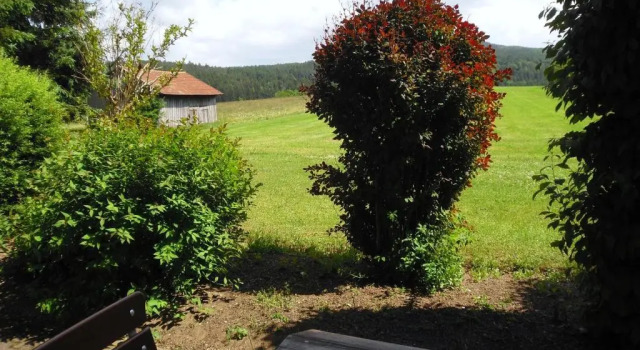 Номер Standard Gasthof-Pension-Kraus