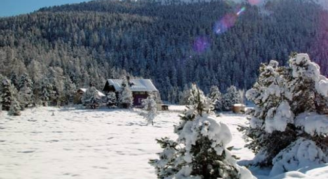Hotel Restorant Lej da Staz, Rezervovat Hotel Celerina-Schlarigna Upper Engadin