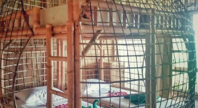 Luxury Bamboo Hostel