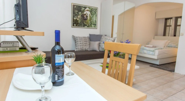 Студия Apartments Villa Sol