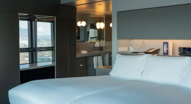 Двухместный люкс Presidential Panoramic Skyline view SO/ Vienna