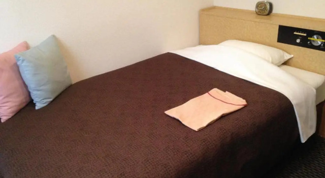 Двухместный номер Standard Nagano Plaza Hotel