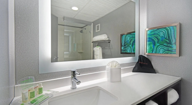 Двухместный номер Executive Holiday Inn - Memphis Downtown - Beale St. by IHG