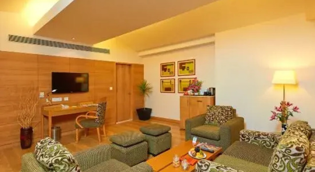 Люкс Park Plaza Chennai OMR