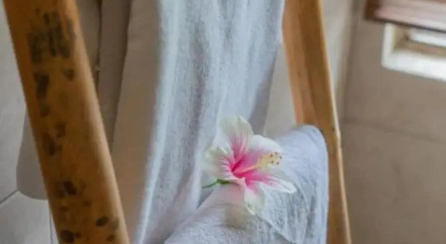 Номер Deluxe Ananda JJ Ubud Resort & Spa