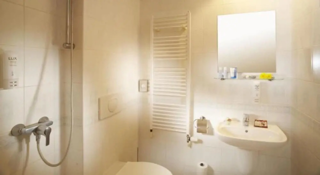 Двухместный номер Standard Spa Hotel Bily Horec