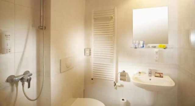 Четырёхместный номер Standard Spa Hotel Bily Horec