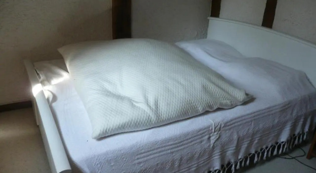 Gite de la Ronceraie, Book Hotel Chaumont-sur-Loire 