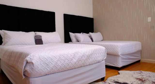 Двухместный номер Deluxe Selina Airport Lodge #Emzini
