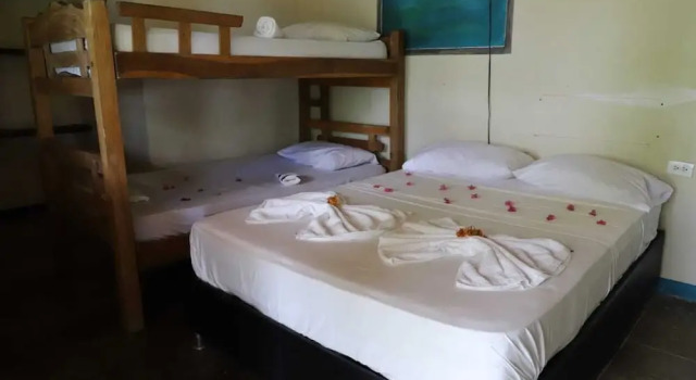 Ecohotel La Cocotera - Hostel, Book Hostel Hostels in Bolivar, Hostel