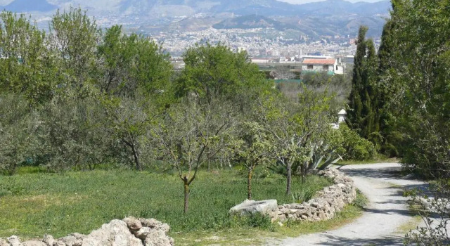 Mökki Cortijo Algabia