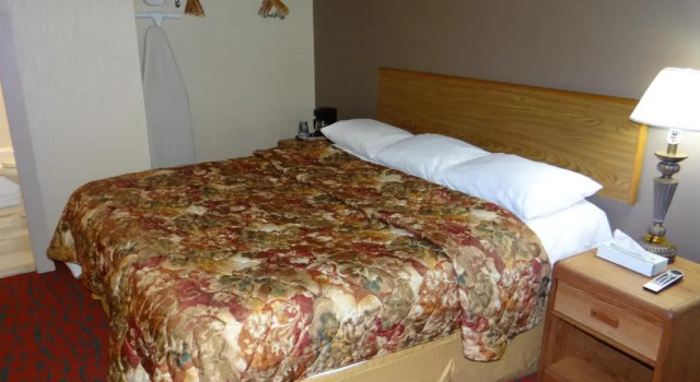 Номер Standard Edelweiss Ski Lodge