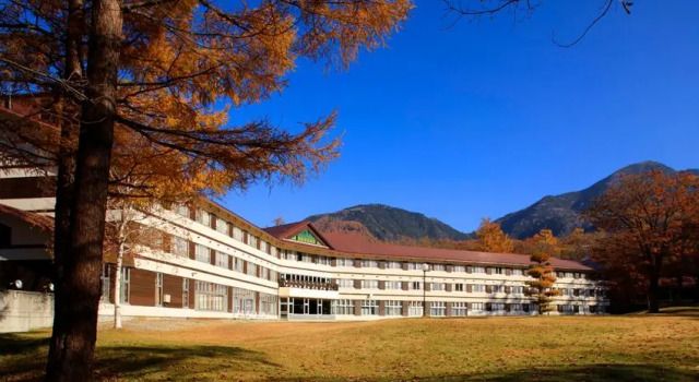Номер Standard Nikko Astraea Hotel