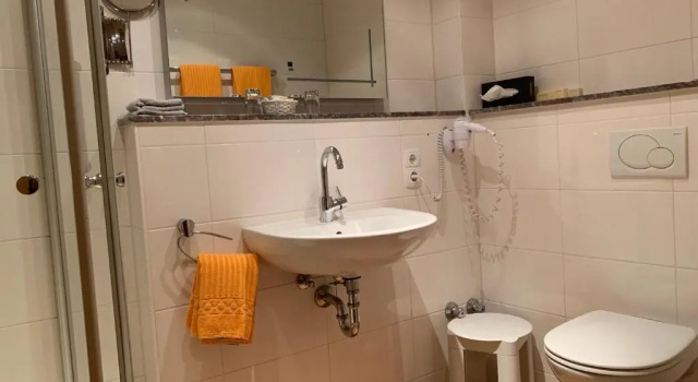 Двухместный номер Comfort Hotel Sonnenhof