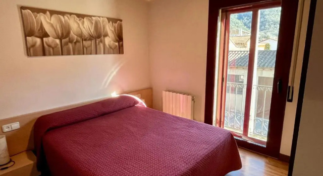 Апартаменты Can Morera Apartaments a Les Preses