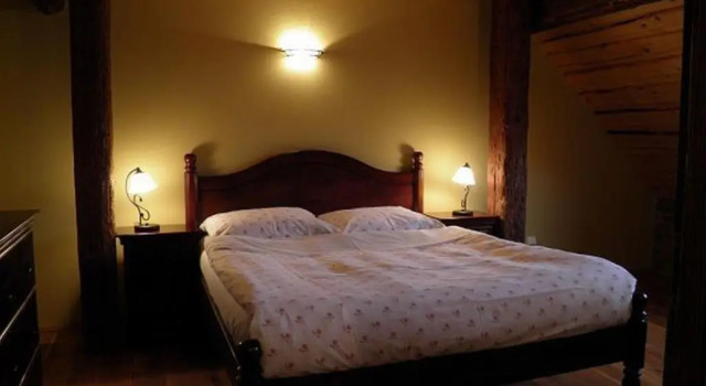 Номер Business Dvůr Olšiny -Hotel and Horse-riding