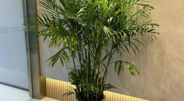 Yitel Zhige Hotel (Xuzhou Suning Plaza Hubushan), Prenota Hotel Xuzhou Jiangsu