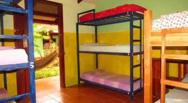 Hakuna Matata Hostel, Đặt Nhà trọ Khách sạn ở Cahuita có hồ bơi, Hồ bơi