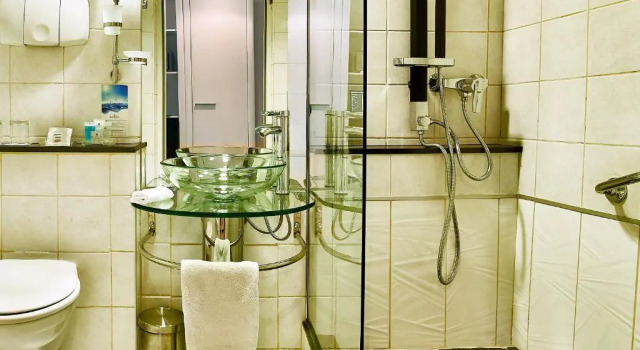 Suite Continental Forum Arad