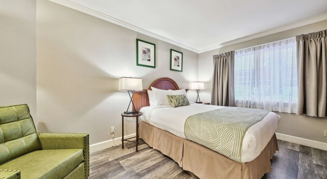 Люкс с 2 комнатами Forest Suites Resort at the Heavenly Village