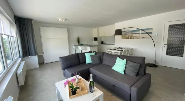 Студия Residentie Duinenzucht - Appartement Laure I Studio Lynne